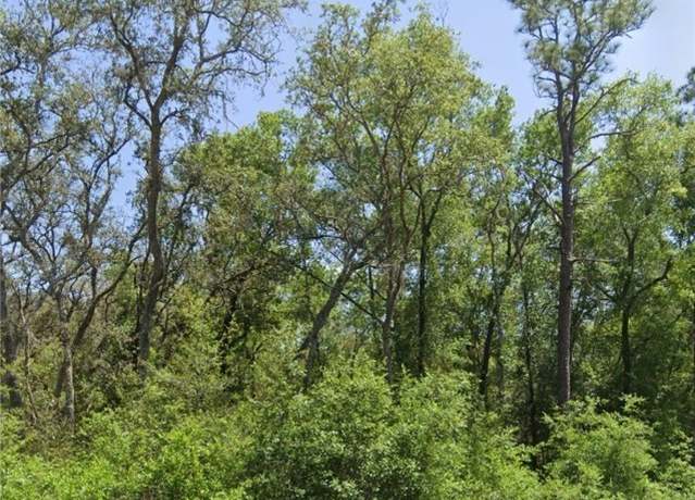 Property at TBD Locust Radl, Ocala, FL 34472