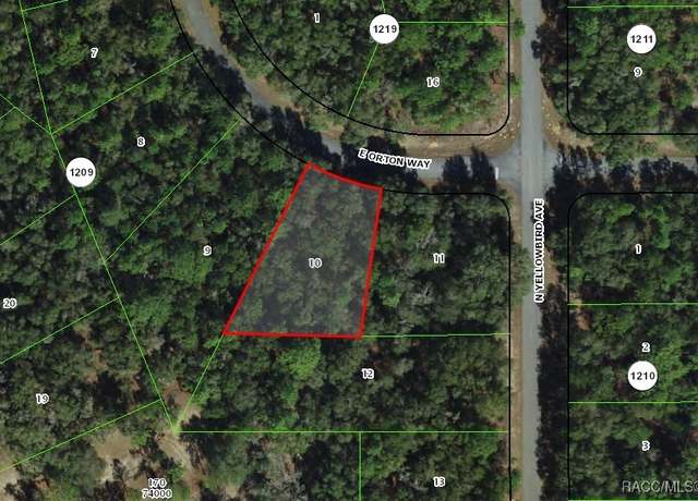 Property at 8264 N Orton Way, Citrus Springs, FL 34434