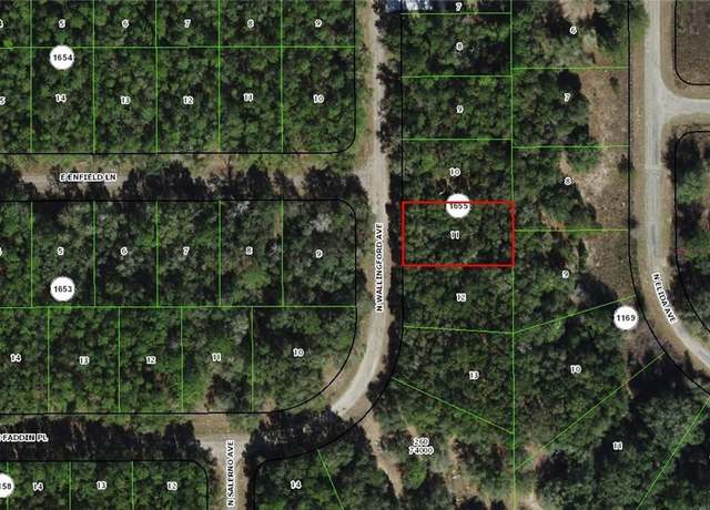 Property at 8329 N Wallingford Ave, Citrus Springs, FL 34434