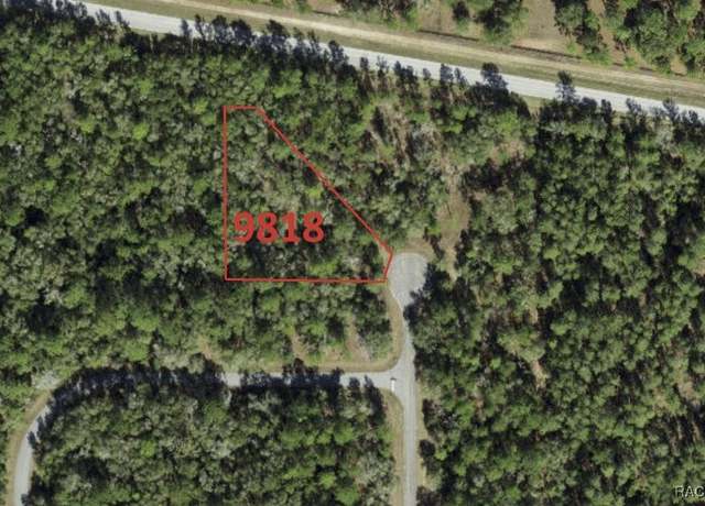 Property at 9818 N Lily Dr, Dunnellon, FL 34434