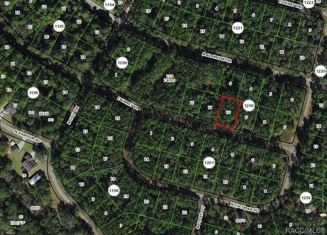Property at 1345 E Urmey Pl, Citrus Springs, FL 34434