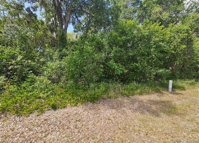 Property at 2828 E Chartwell Cir, Hernando, FL 34442