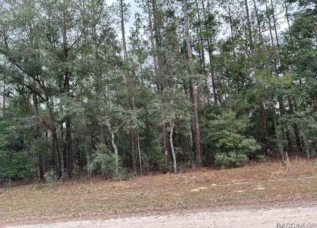 Property at 8631 N Pelican Ter, Citrus Springs, FL 34434