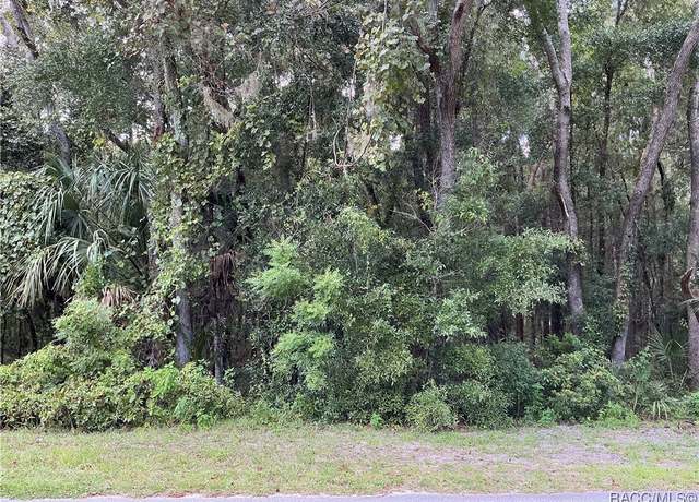 Property at 58 N Bauer Rd, Lecanto, FL 34461