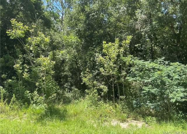 Property at 3623 E Sanders St, Inverness, FL 34453