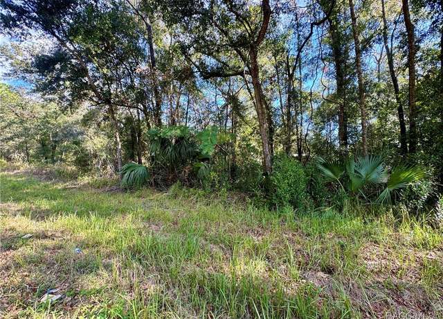 Property at 719 S Arlene Ave, Inverness, FL 34453