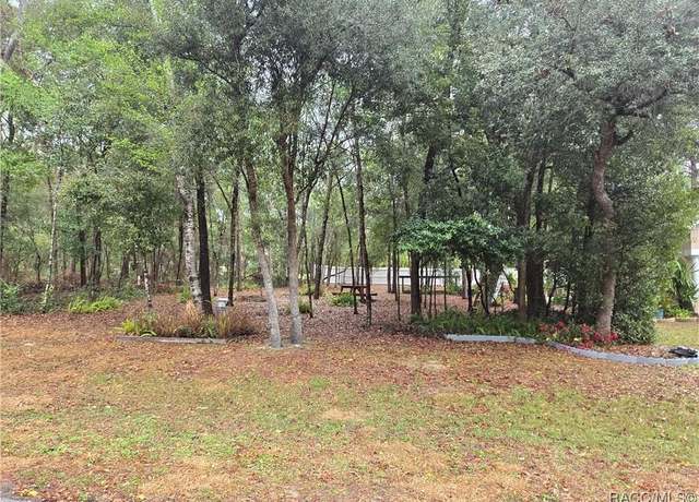 Property at 1415 W Saint Elizabeth St, Citrus Springs, FL 34434