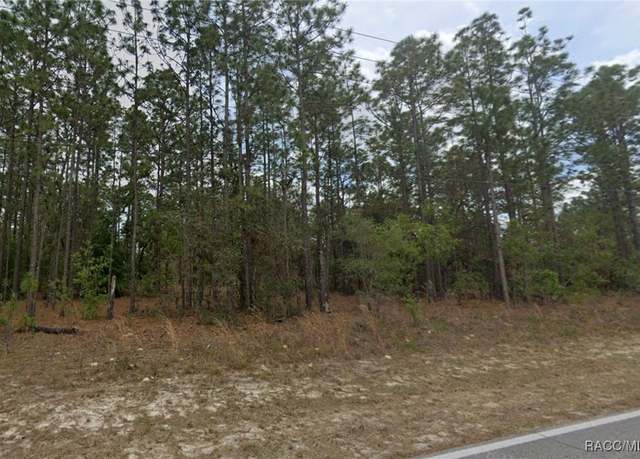 Property at 8195 N Santos Dr, Citrus Springs, FL 34434