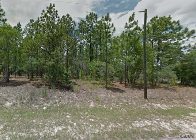 Property at 8182 N Janeaux Dr, Citrus Springs, FL 34434