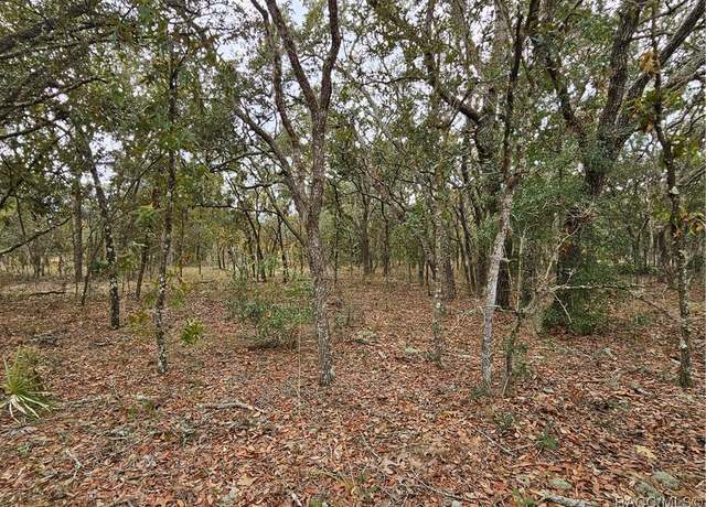 Property at 1598 W Manchester Dr, Citrus Springs, FL 34434