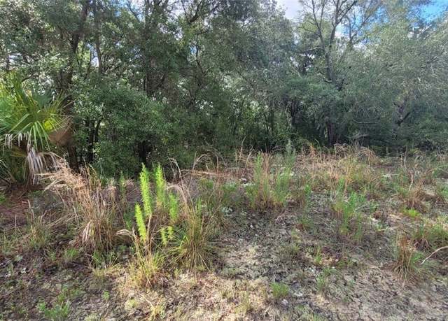 Property at 619 W Bancroft Dr, Citrus Springs, FL 34434