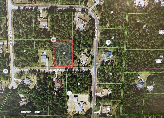 Property at 4857 W Puma Ln, Beverly Hills, FL 34465