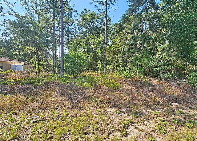Property at 3314 W Crandon Dr, Citrus Springs, FL 34433