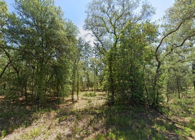 Property at 1831 NW Buena Vista Rd, Dunnellon, FL 34431