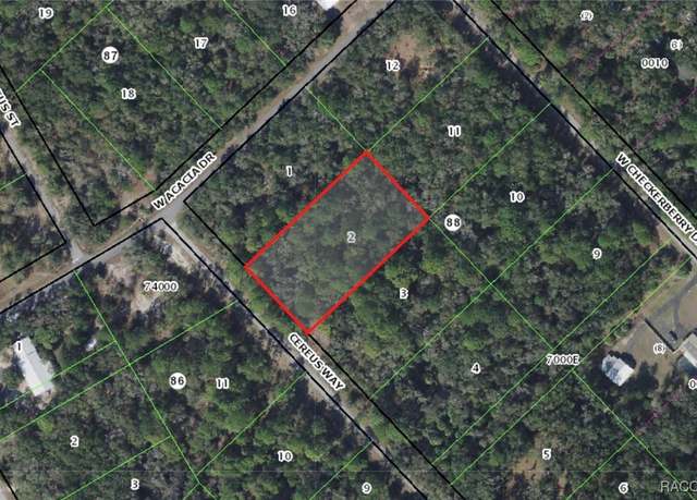Property at 9217 N Cereus Way, Crystal River, FL 34428