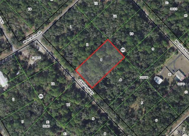 Property at 9195 N Cereus Way, Crystal River, FL 34428