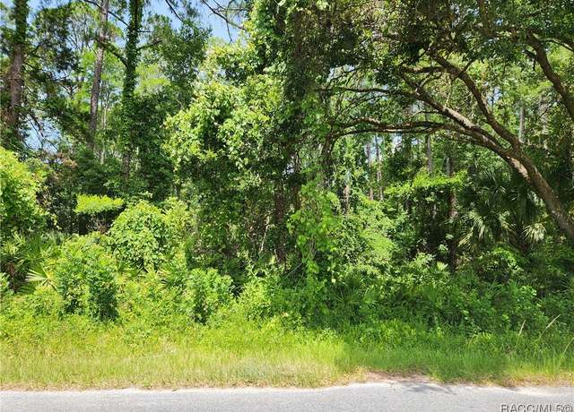 Property at 000 Olsen Rd, Spring Hill, FL 34606