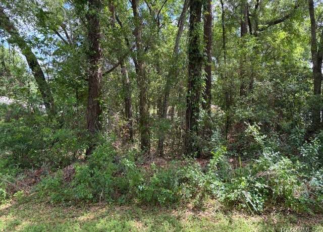 Property at 4229 S Canton Ter, Inverness, FL 34452