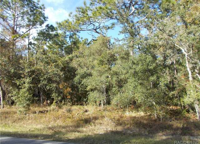 Property at 359 W Liberty St, Hernando, FL 34442