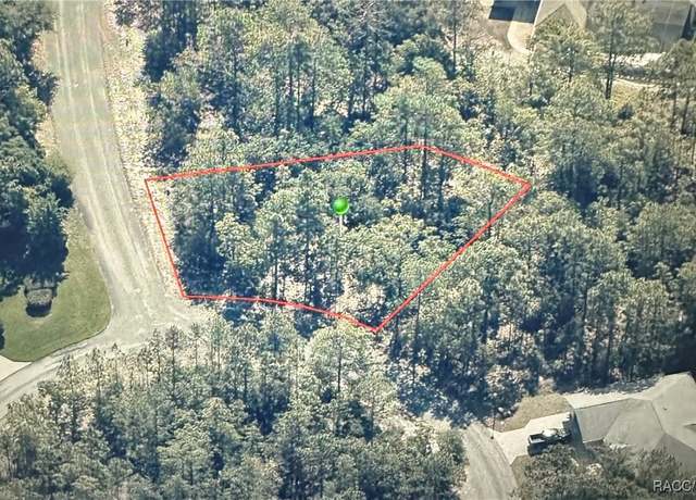 Property at 7 Drypetes Ct W, Homosassa, FL 34446