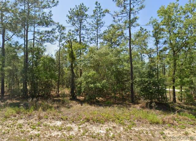 Property at 0 NW Buena Vista Rd, Dunnellon, FL 34431