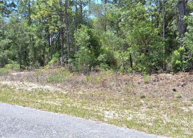 Property at 7238 N Maltese Dr, Citrus Springs, FL 34433