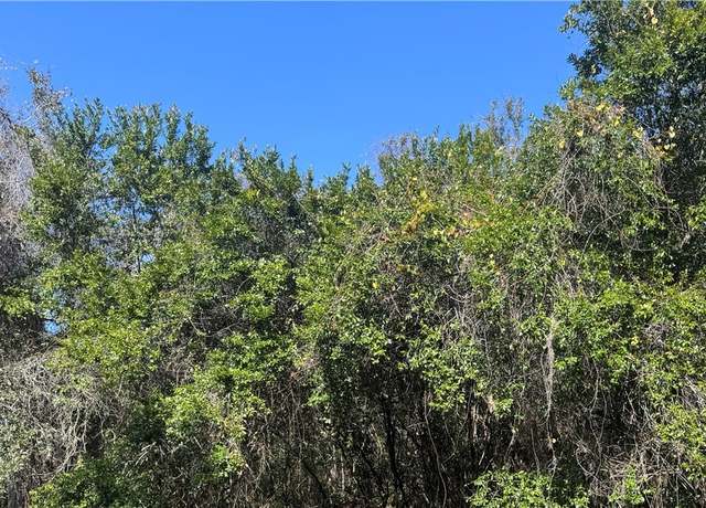 Property at 1282 N Magnolia Hill Way, Inverness, FL 34453