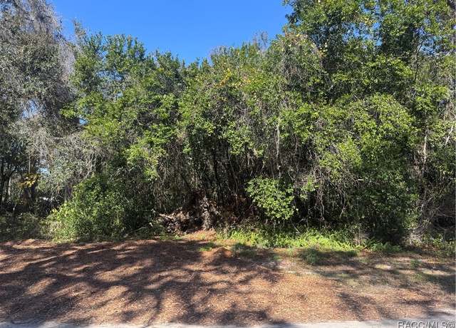 Property at 1254 N Magnolia Hill Way, Inverness, FL 34453