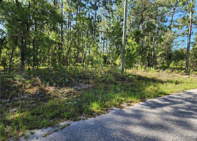 Property at 1476 W Diamond Dr, Citrus Springs, FL 34434