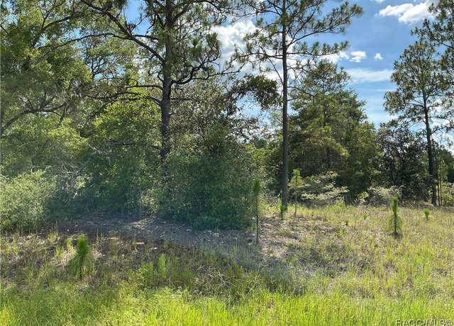 Property at 11774 N Shenandoah Way, Citrus Springs, FL 34433