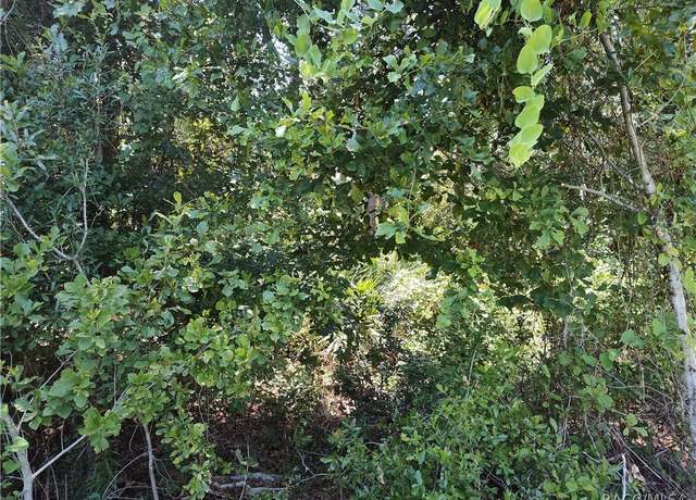 Property at 0000 NE 65th Ct, Citra, FL 32113