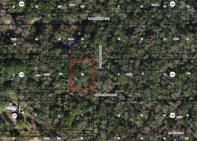 Property at 10389 W Larchwood St, Homosassa, FL 34448