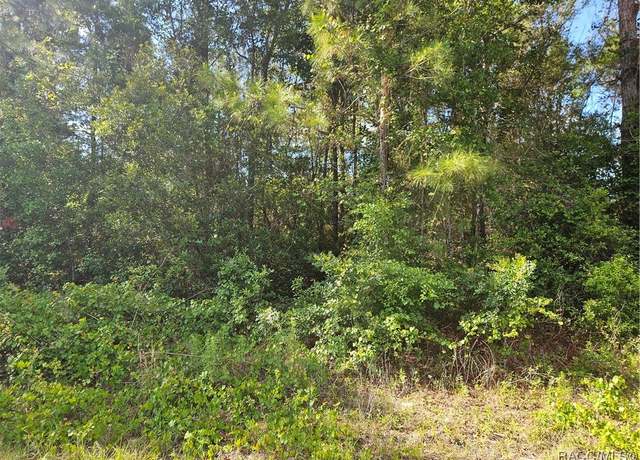 Property at 622 E Abady Ln, Citrus Springs, FL 34434