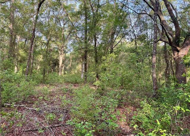 Property at 909 Ferncreek Ave, Inverness, FL 34453