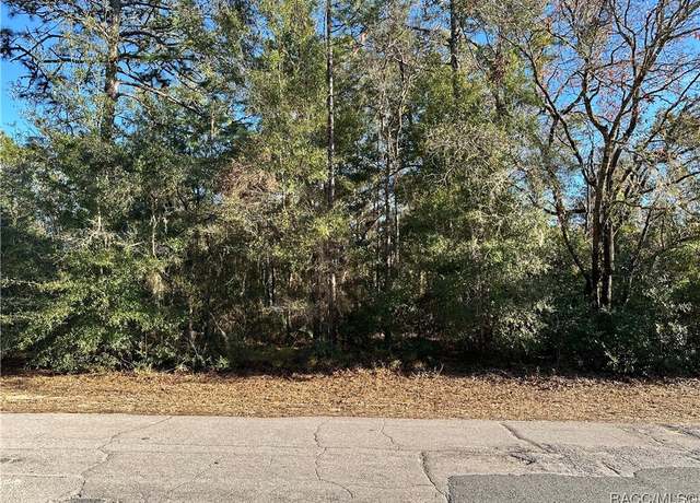 Property at 9175 N Commodore Dr, Citrus Springs, FL 34434