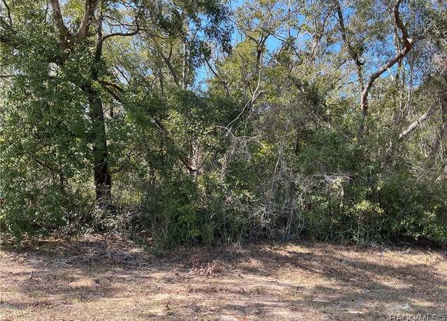 Property at 1534 W Magenta Dr, Citrus Springs, FL 34434