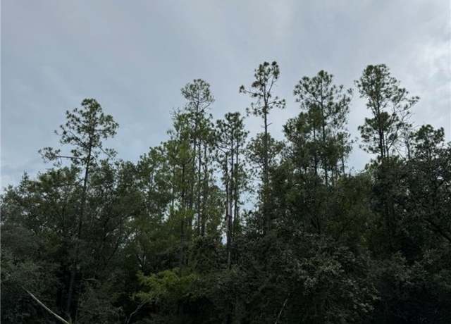 Property at 608 E Kingsdale St, Citrus Springs, FL 34434
