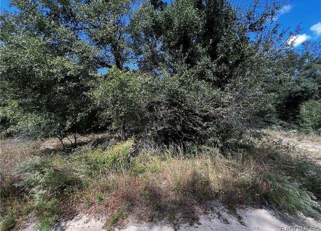 Property at 2510 Van Buren St, Inverness, FL 34453
