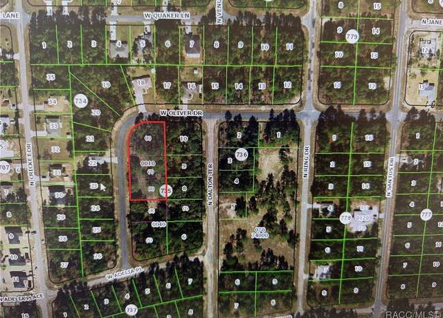 Property at 1930 W Oliver Dr, Dunnellon, FL 34434