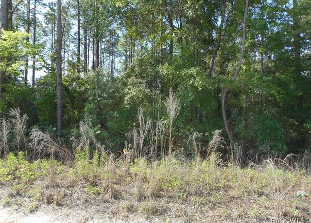 Property at L 43 SW 51st Ln, Dunnellon, FL 34432