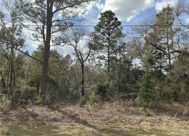 Property at 8824 N Trojan Dr, Citrus Springs, FL 34433