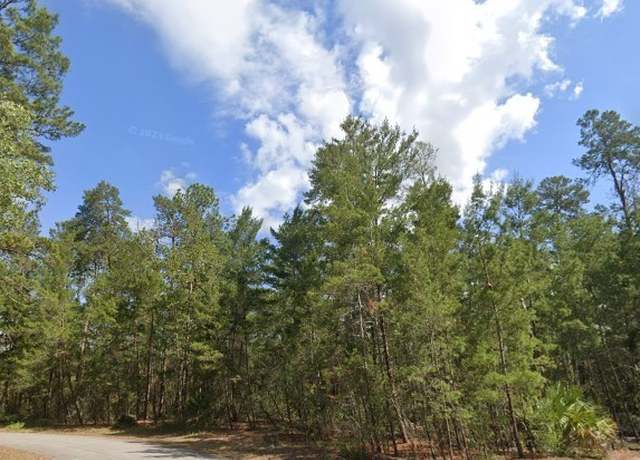 Property at 24 Browallia Ct, Homosassa, FL 34446