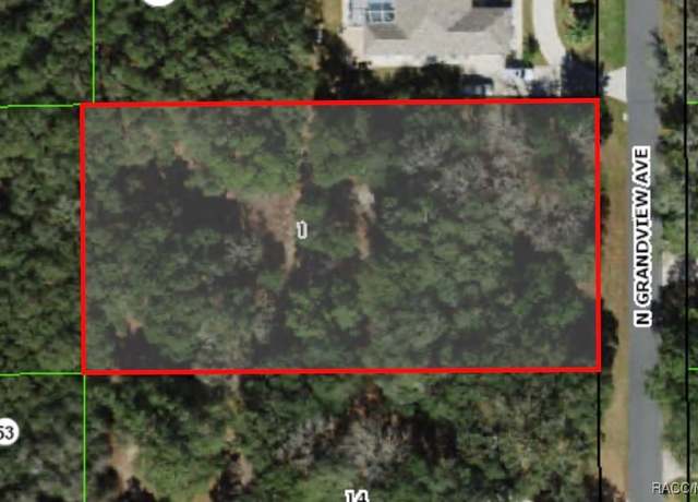 Property at 350 N Grandview Ave, Hernando, FL 34442