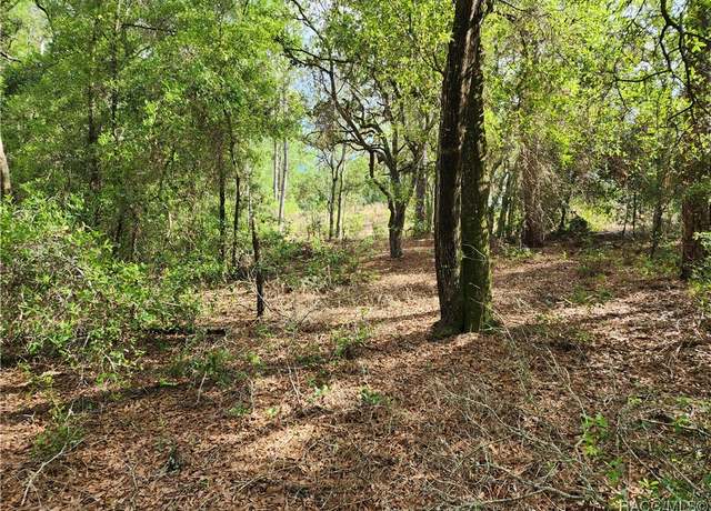 Property at 11107 N Mataro Ave, Citrus Springs, FL 34434