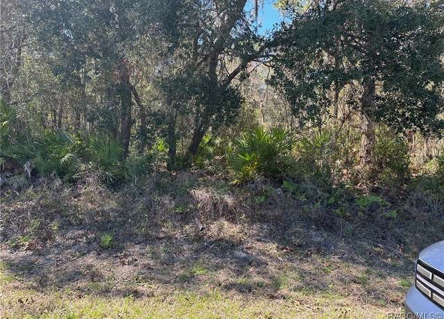 Property at 2830 S Bolton Ave, Homosassa, FL 34448