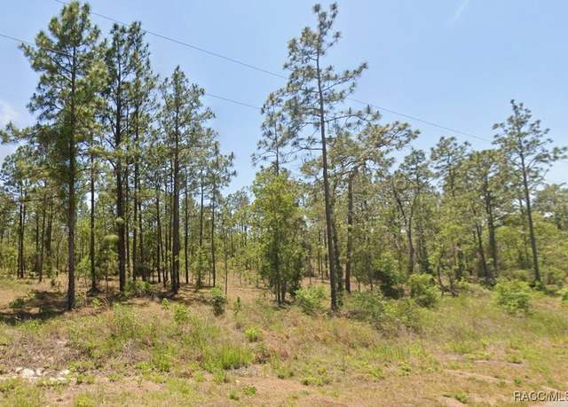Property at 0 NW Water Oak Ave, Dunnellon, FL 34431