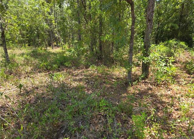 Property at 13 Spruce Pine Ct S, Homosassa, FL 34446