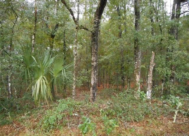 Property at L 6 SW 97th Pl, Dunnellon, FL 34431