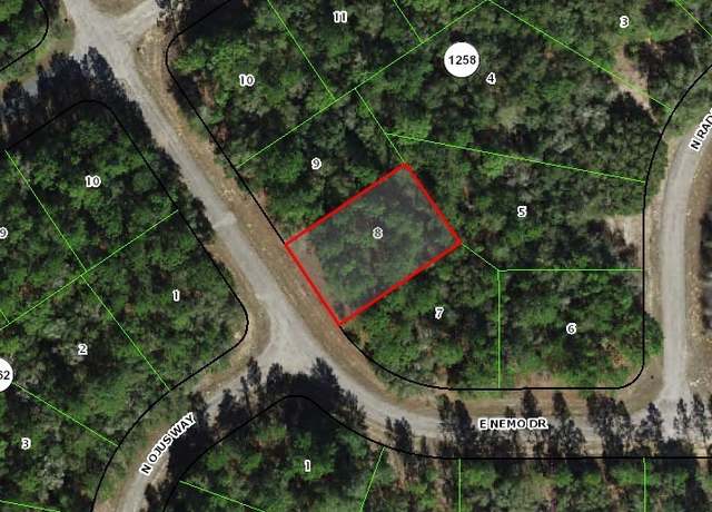 Property at 535 E Nemo Dr, Citrus Springs, FL 34434