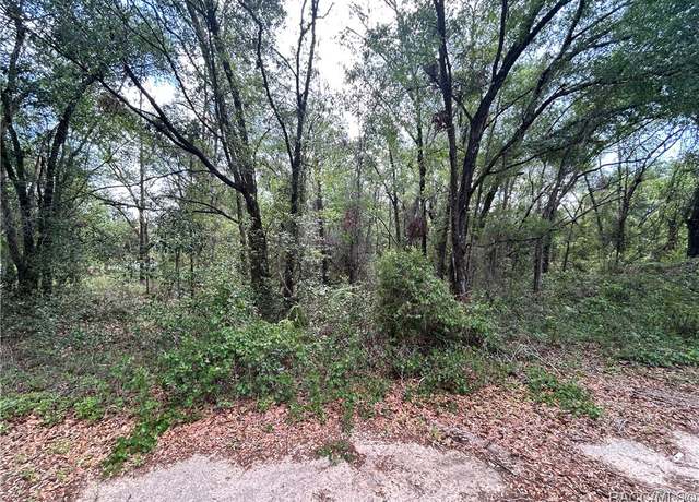 Property at 816 Crestwood Ave, Inverness, FL 34453